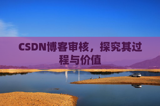 CSDN博客审核，探究其过程与价值